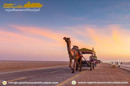 Un Voyage Sur Mesure Au Gujarat Avec Des Guides Experts’ Francophones