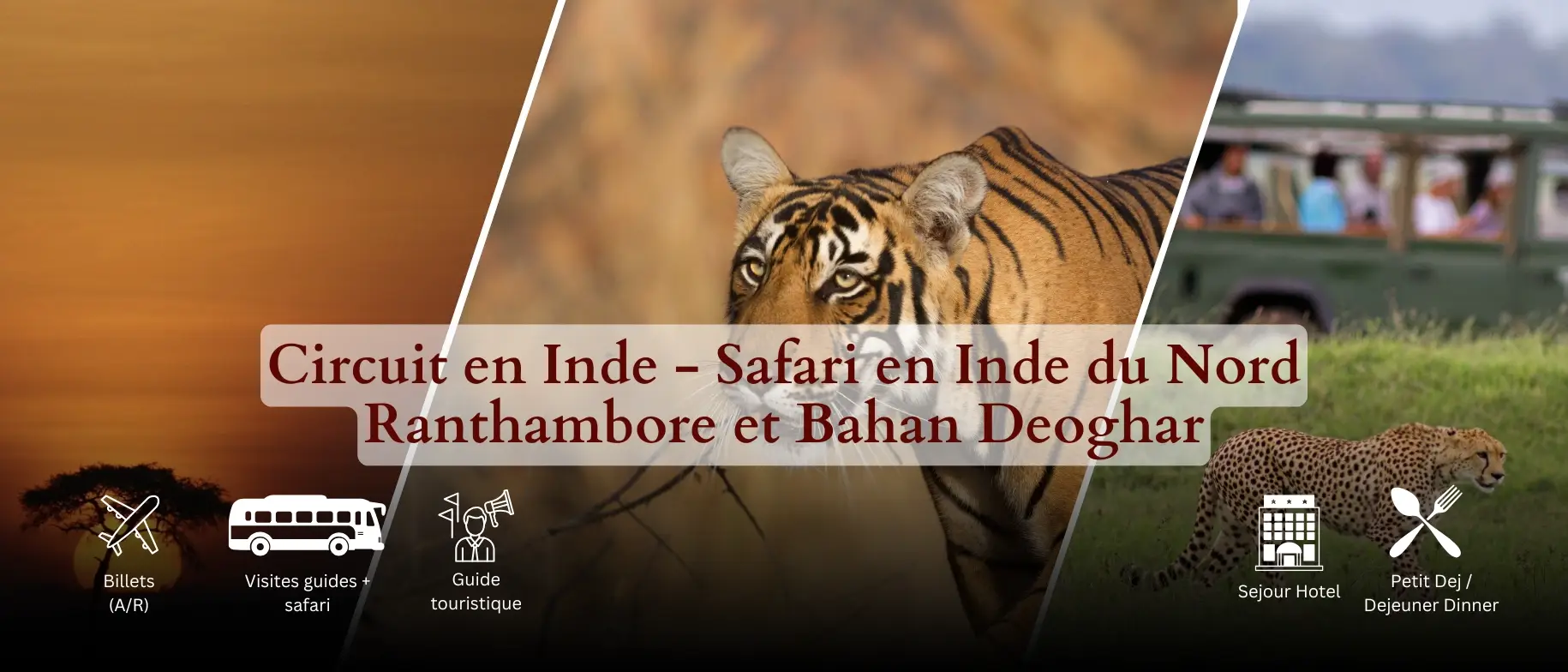 Visiter le Ladakh